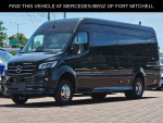 2025 MERCEDES-BENZ SPRINTER 3500 CARGO 170 WB 